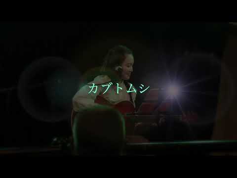 【弾き語りLive】カブトムシ/aiko