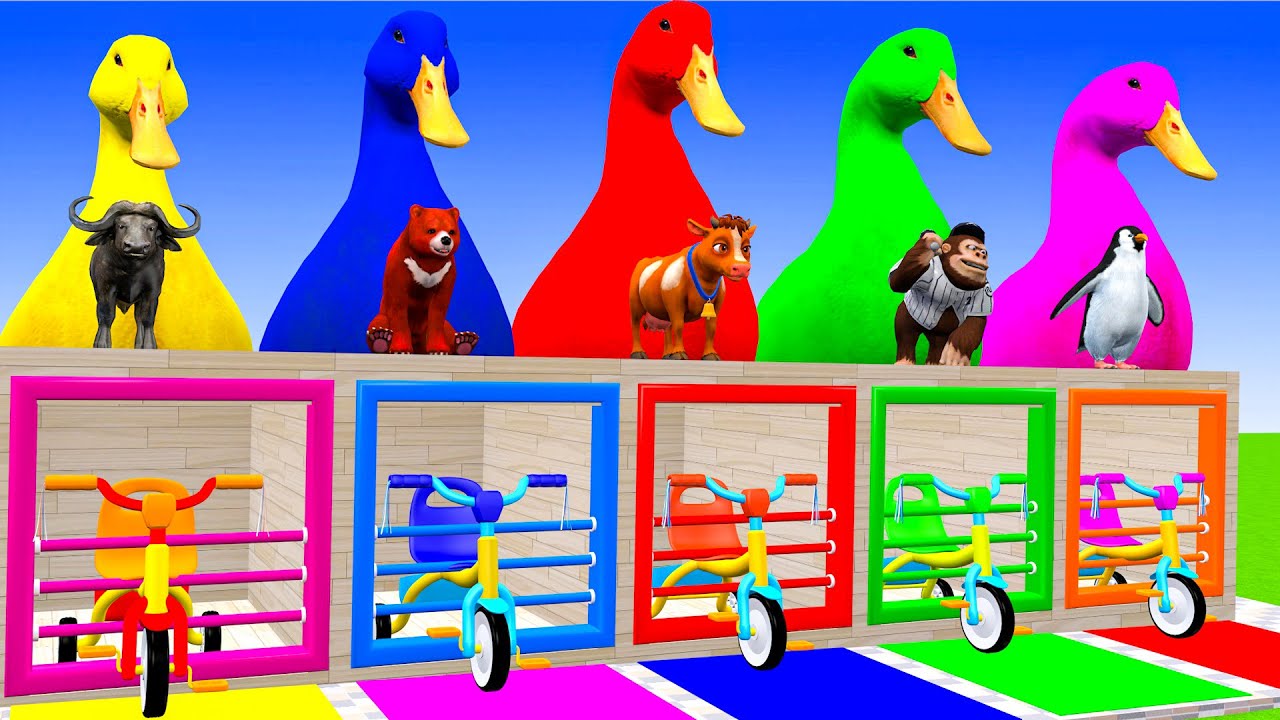 5 Giant Duck Cartoon,Cow,Gorilla,Tiger,Lion,Sheep,Paint Wild Animals Crossing Fountain Animation
