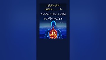 خلق من الماء بشراً فجعل نسباً وصهراً | سورة الفرقان الآية 54