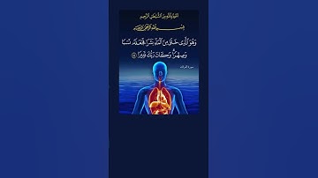 خلق من الماء بشراً فجعل نسباً وصهراً | سورة الفرقان الآية 54