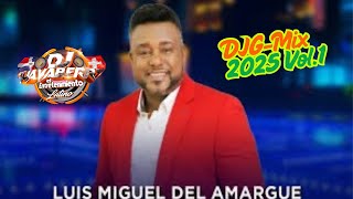 DJG Mix Luis Miguel del Amargue 2025 Vol 1