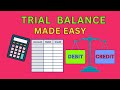 Trial Balance Explained Step by Step | Double Entry, Ledger Posting, Journals & Accounting Errors