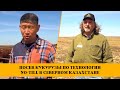 Посев кукурузы по технологии No-Till в Северном Казахстане