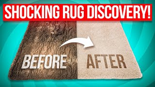 The Most Satisfying Timelapse You'll See This Year! Another Discarded Rug Restored!