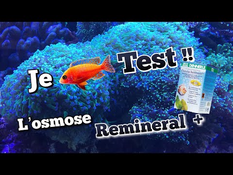 Vidéo: Combien coûte l'eau osmosée ?