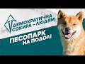 ДемСокира - людям: Активісти на Подолі облаштували "Песопарк"