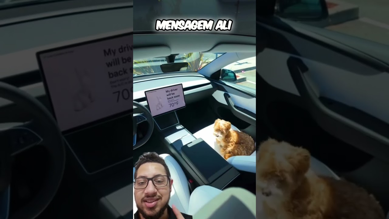 Tesla Incrível: Funcionalidade Secreta para Seu Pet! 