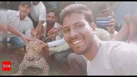 Ultimate "India Is Not For Beginners" Compilation Part 2