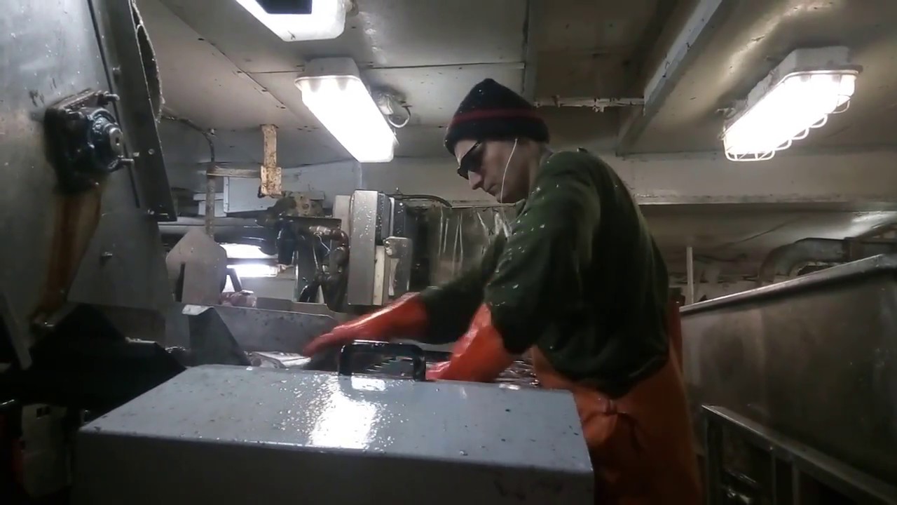 Работа в море! Обработка! Бадер!!!