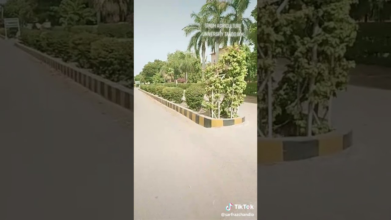 Zarai university tandojam