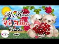 MI AMOR TE AMO CADA DIA MAS💕Lindos mensajes de amor para enamorar y compartir ❤️ Con hermoso video
