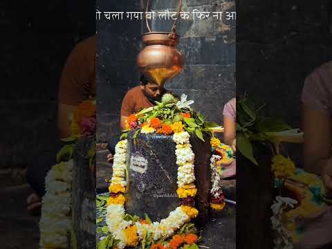om namah shivaye