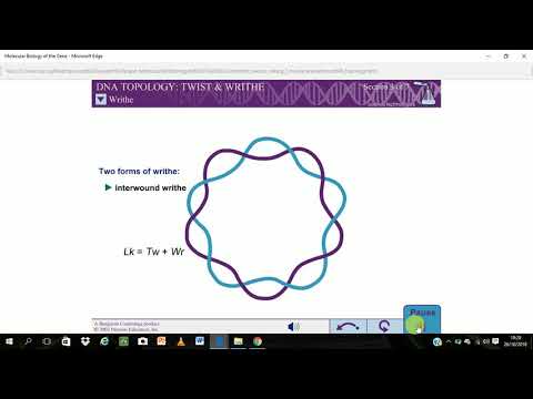 DNA Topology twist and writhe