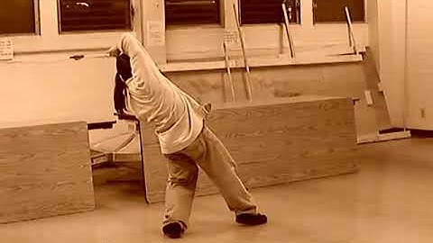 Wu family Baguazhang whirlwing palms organ spine resetting video promo