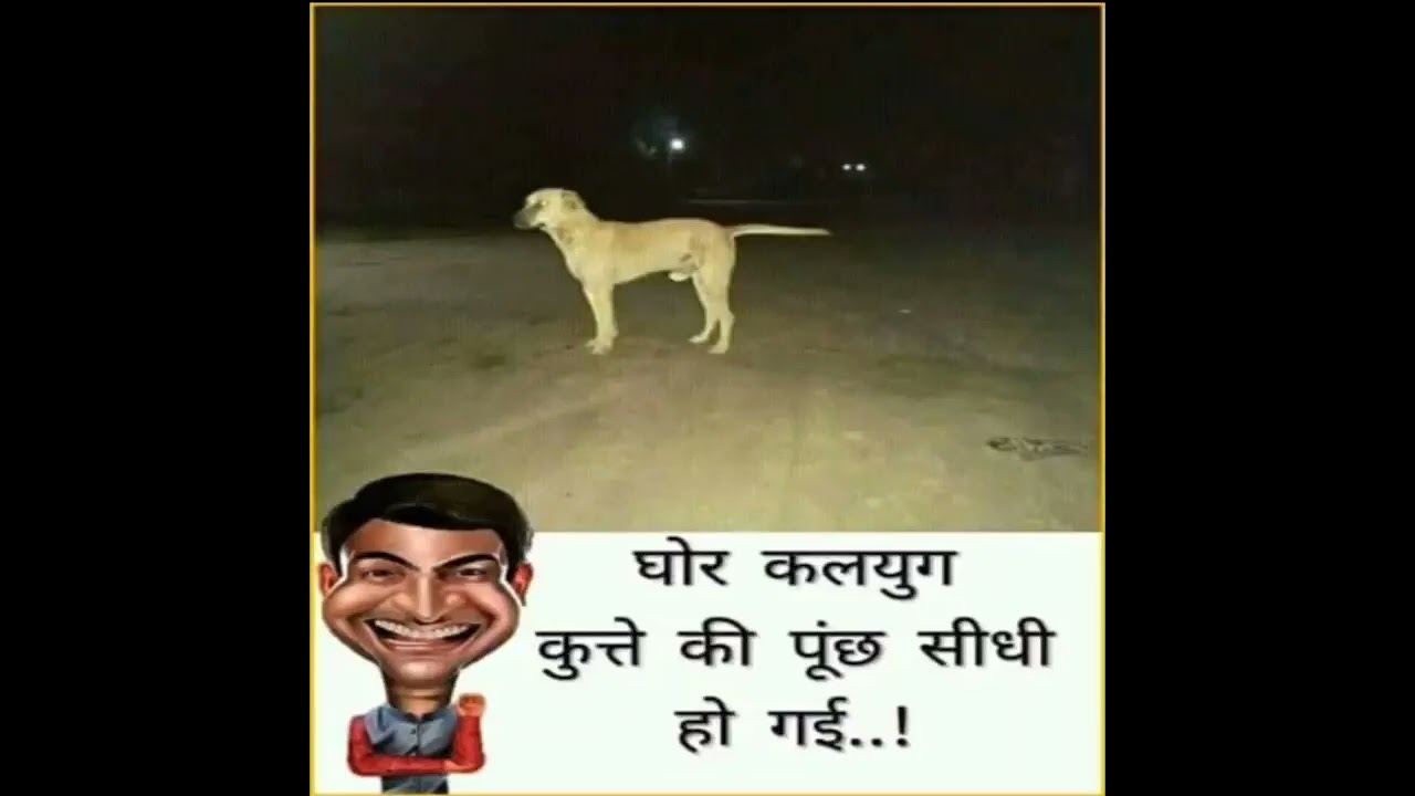 आखिर कुत्ते की पूंछ सीधी हो गईं funny jokes 