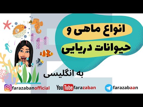 لغات پرکاربرد انگلیسی همراه با تلفظ : انواع ماهی و حیوانات دریایی به انگلیسی