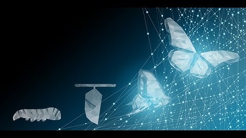 An introduction to portfolio management - the theory and in practice