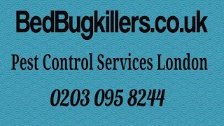 Pest Control London Harrow On The Hill
