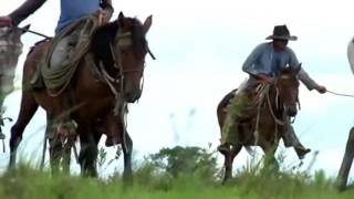 Mi Caballo y yo - Cholo Valderrama