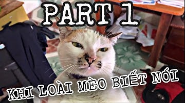 KHI LOÀI MÈO BIẾT NÓI PART 1 | MINH ANH HOÀNG