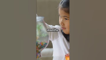 Goldfish Memory Myth Busted!