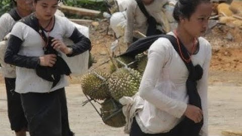 kaum prempuan baduy dalam semangat membawa durian ke baduy luar