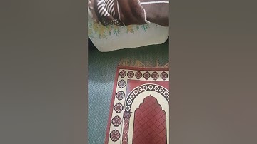 قراءة من صلاة التهجد من سورة الزمر في شهرمضان عام(١٤٤١)؛همام عادل شاهين