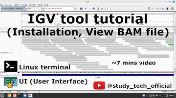 IGV tool | Install | BAM view | #bioinformatics #biology #tutorial #alignment