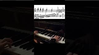 J.S. Bach - Italian concerto BWV971 3rd movement #bach #piano #baroque #concerto #classicalmusic