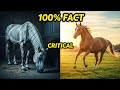 Allow the horse daily turnout for mental health.