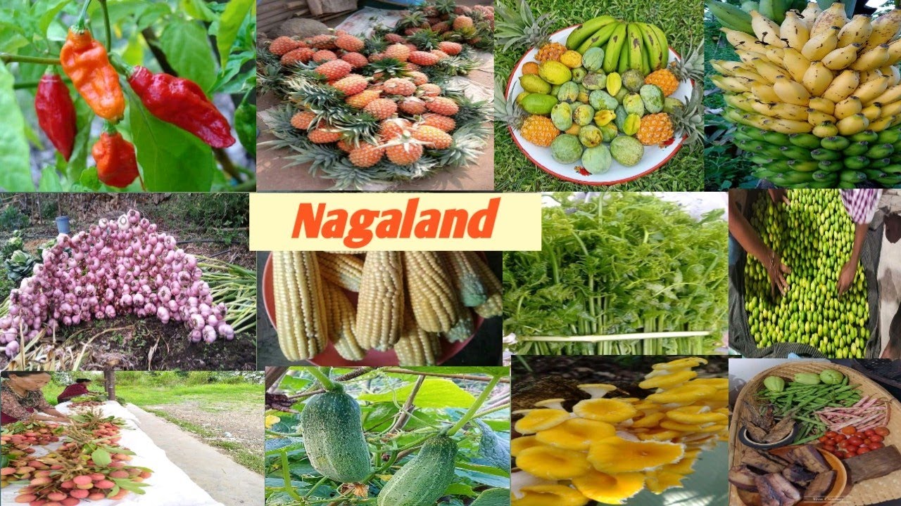 nagaland-organic-fruits-and-vegetable-youtube