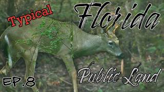 EP.8 Typical Florida Public Land Hunting | WMA | Archery | 2025-2026 #public #hunting #florida