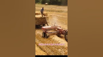 #fcnfm From Agricultural Residues to Sustainable Power Generation: A Guide to Biomass Pellet Making