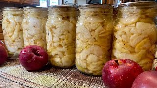 CANNING APPLES Recipe | Preserving Homestead Orchard Apples | Water Bath Canning