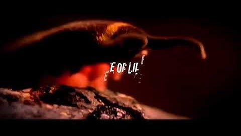 Fast Dynamic Slideshow Glitch Opener | After Effects template