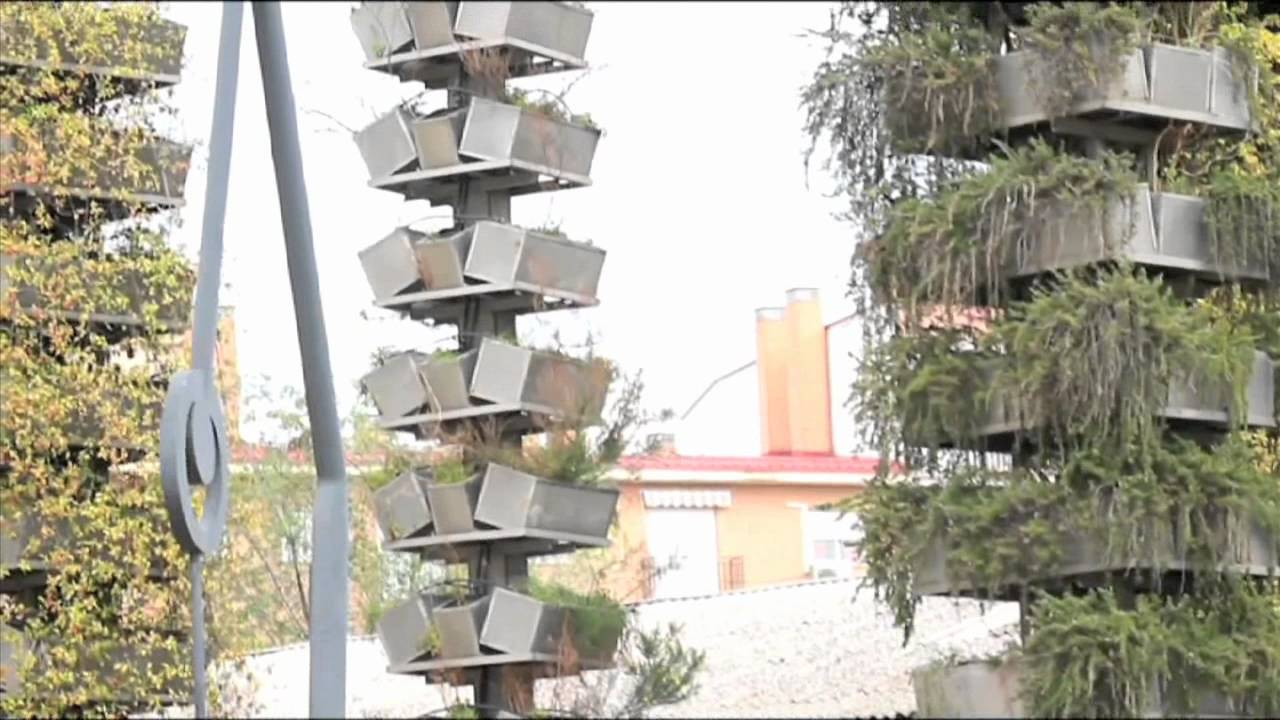 teatro del bosque RocioMV.mov