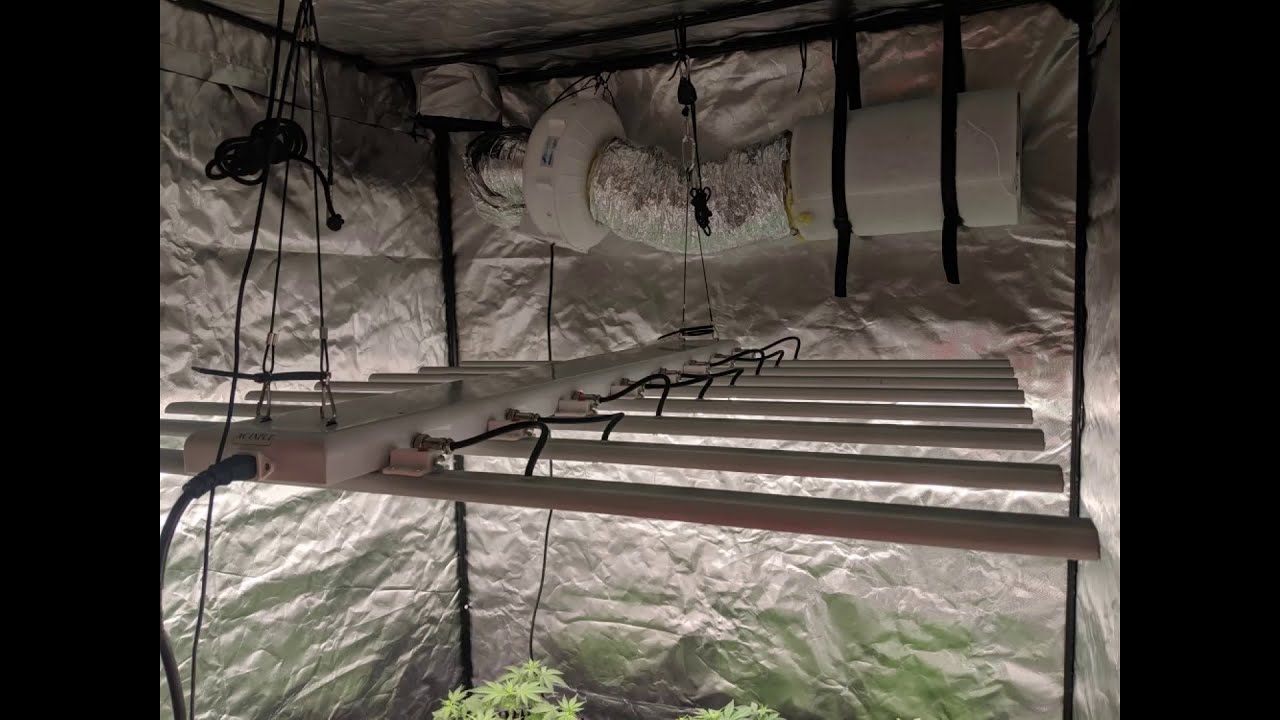 Skysaber 640w led grow light in 5x5ft tent - YouTube