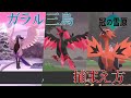 【ポケモン剣盾・冠の雪原】ガラル三鳥捕まえ方