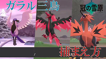 تحميل ガラル三鳥