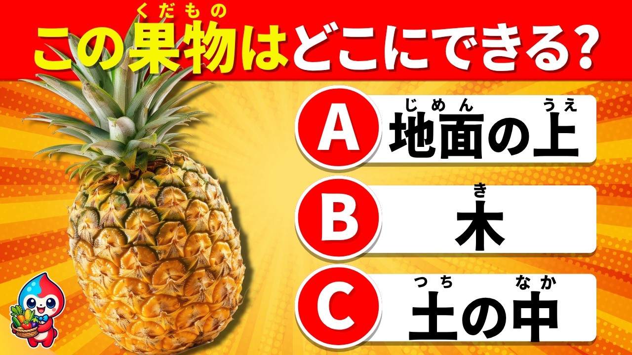 【全35問】野菜・果物のでき方クイズ|この野菜どこにできる?