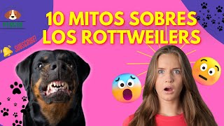 10 MITOS SOBRE LOS ROTTWEILERS | Revelamos toda la verdad by Todo Sobre el Perro 74 views 1 month ago 3 minutes, 53 seconds