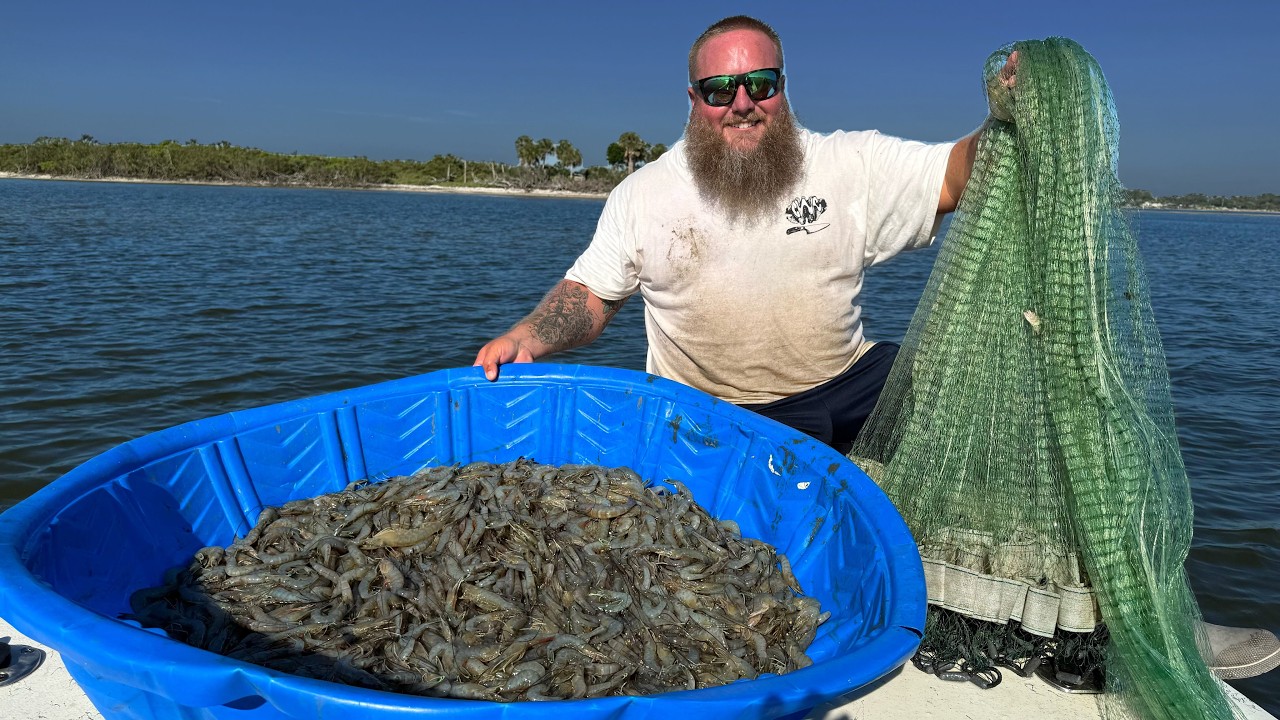 1000's of WILD SHRIMP in my Cast Net! Catch & Cook
