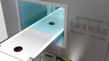 Checkweighers DWM 750 EN E