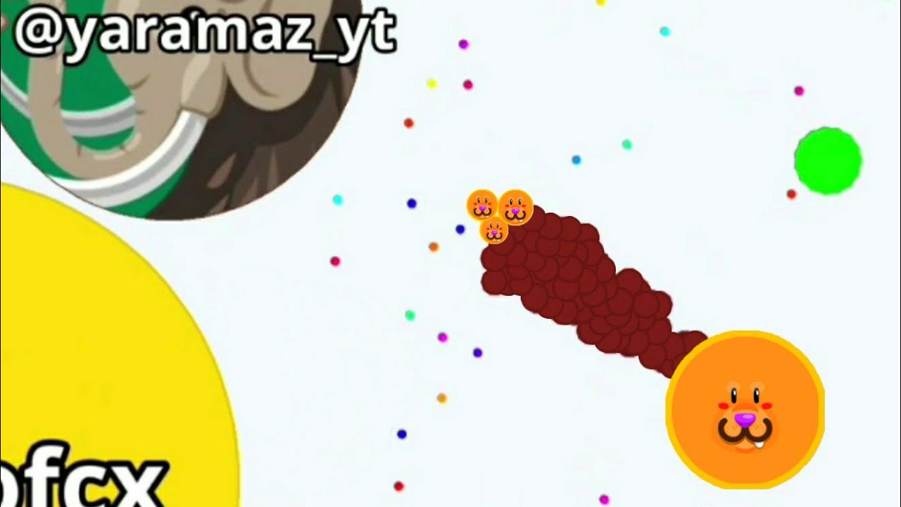 THE INSANE REVENGE😼(AGARIO MOBILE)