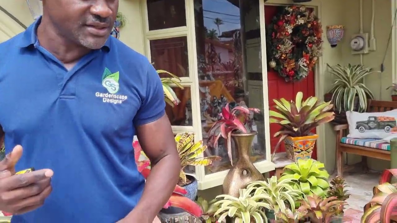 My Garden, My Home Episode 5