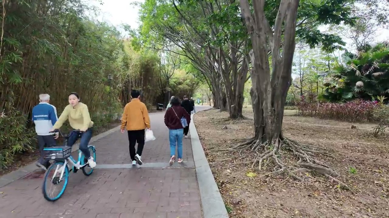 A Life In China: Responding To Responses From A Response!!