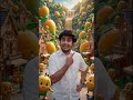 mango ki duniya #mango #aam #viral