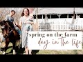 A Day in the Life on the Farm | And Our NEW Pony