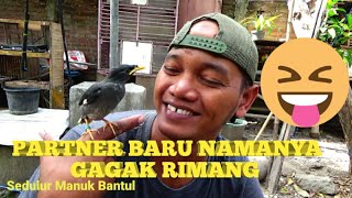 PARTNER BARU NAMANYA GAGAK RIMANG