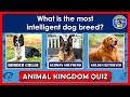 Animal Knowledge Quiz